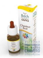 CHESTNUT BUD Gocce 10ml
