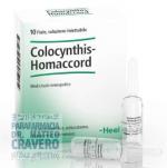 COLOCYNTHIS Homaccord 10 fiale HEEL