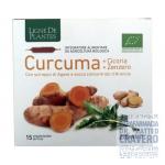 Curcuma cicoria zenzero Bio 15 ampolle
