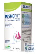 DESMOPHIT LIQUIDO 500ML