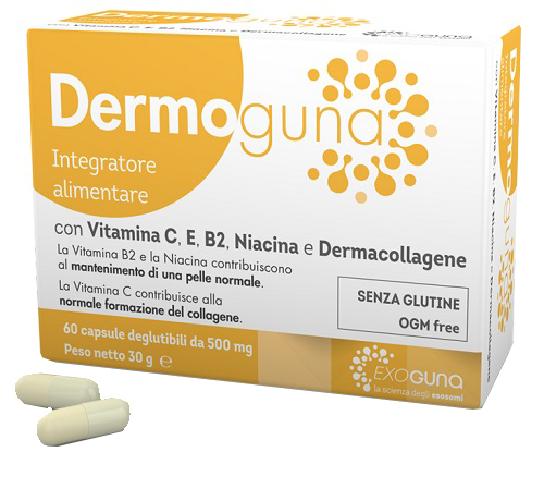 DERMOGUNA 60 CAPSULE 500MG