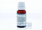 Echinacea Angustifolia Planta tota Rh D3 20ml Gocce