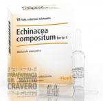 ECHINACEA Compositum S 10 fiale FORTE HEEL