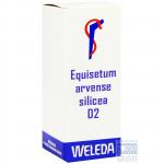 Equisetum arvense Silicea cultum D2 50ml Gocce