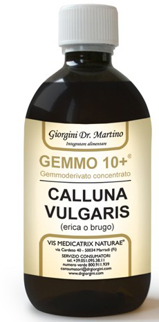 ERICA 500ML ANALCOLICO GEMMO 10+