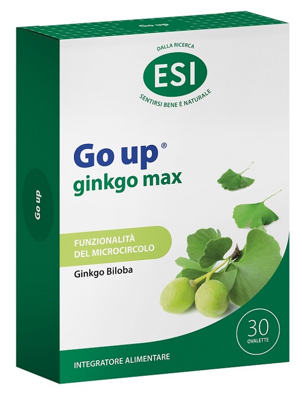 GO UP GINKGO MAX 30 OVALETTE