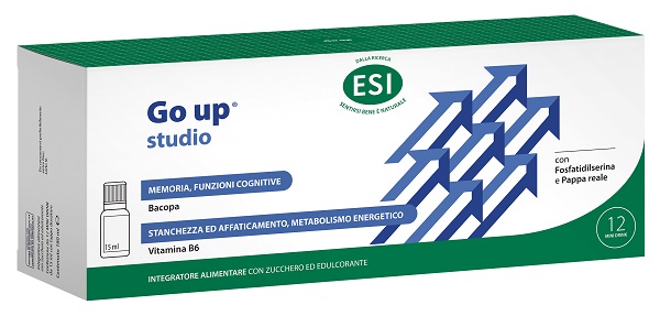 GO UP STUDIO 12 MINI DRINK