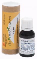 Fee Vite 15mL
