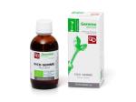 FICO GEMME BIO MACERATO GLICERICO 100ML