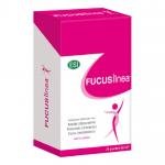 Focuslinea 24 Pocket Drink