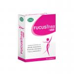 Focuslinea + Forte 45 ovalette
