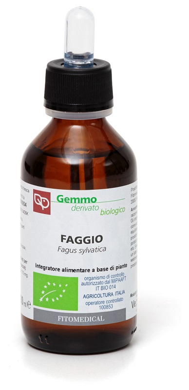 FAGGIO Macerato Glicerico 100ML BIO