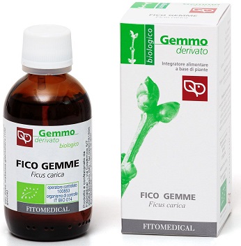 FICO Macerato Glicerico 50ML BIO