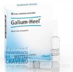 GALIUM 10 fiale 1,1ml HEEL