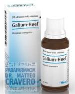 GALIUM HEEL 30ml