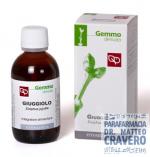 GIUGGIOLO 50ML Macerato Glicerico
