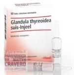 GLANDULA THYREOIDEA SUIS INJEEL 10 fiale