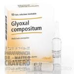 GLYOXAL Compositum 10 fiale 2,2ml HEEL