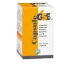 GSE CAPSULE 60 capsule
