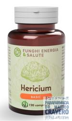 HERICIUM BASIC 120 COMPRESSE