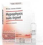 HYPOPHYSIS SUIS INJEEL 10 fiale HEEL