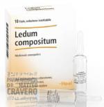 LEDUM Compositum 10 fiale 2,2ml HEEL