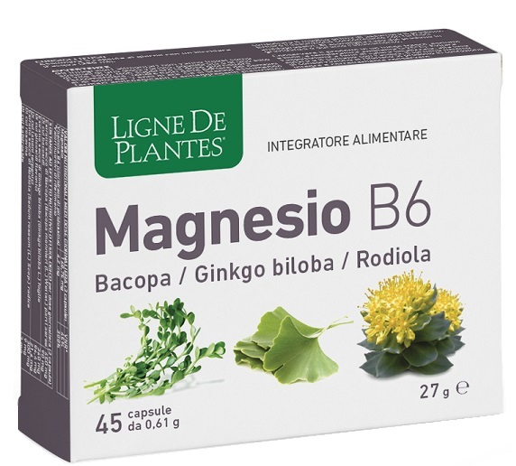 LIGNE MAGNESIO B6 BACOPA 45 CAPSULE