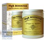 MGK BOOSTER POLVERE 360 GRAMMI