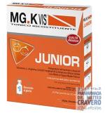 MGK VIS TONICO RICOSTITUENTE Junior 10 flaconcini