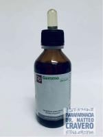 MIRTILLO NERO 100ML MG