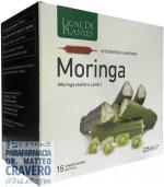 MORINGA 15 ampolle 15ML