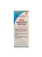 MSA AMPELOPSIS WEITCHII 50ML