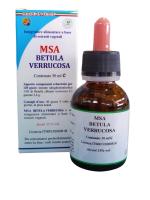 MSA BETULA VERRUCOSA 50ML