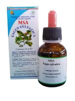 MSA FAGUS SYLVATICA 50ML