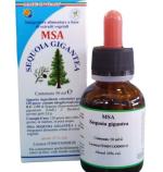 MSA SEQUOIA GIGANTEA 50ML