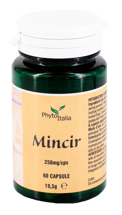 MINCEUR AYURVED 60 Capsule