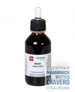 NOCE 100ML Macerato Glicerico