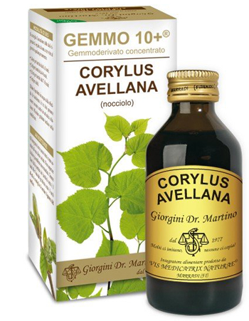 NOCCIOLO 100ML ANALCOOLICO GEMMODERIVATO