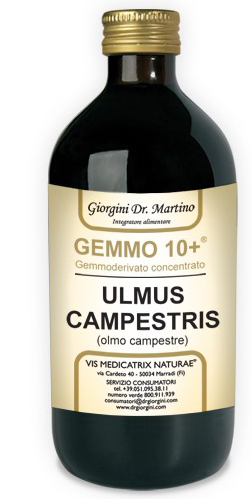 OLMO CAMPESTRE 500ML GEMM10+