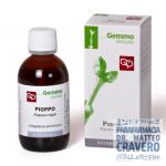 PIOPPO 50ML MG