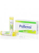 Pollensi 