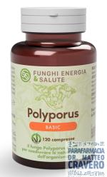 POLYPORUS BASIC 120 COMPRESSE