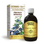PRUGNOLO 500ML ANALCOLICO GEMMO 10+