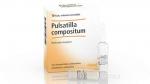 PULSATILLA INJEEL HEEL 10 FIALE