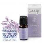 PURAE LAVANDA IBRIDA BIO 10ML