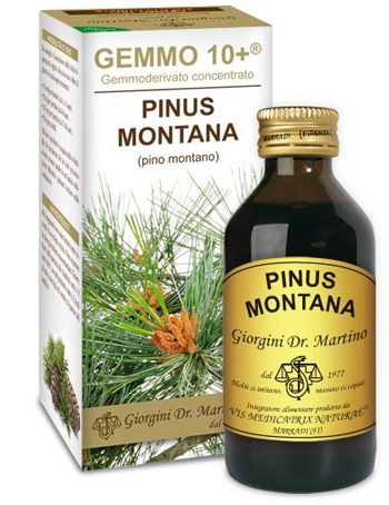 PINO MONTANO 100 ML ANALCOLICO GEMMO 10+