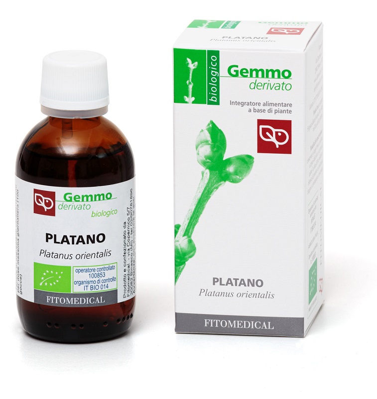 PLATANO Macerato Glicerico 50ML BIO