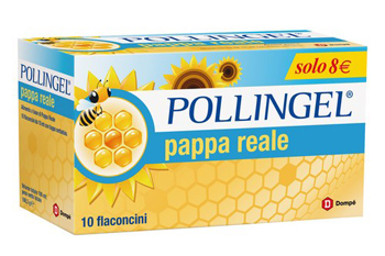 POLLINGEL PAPPA REALE 