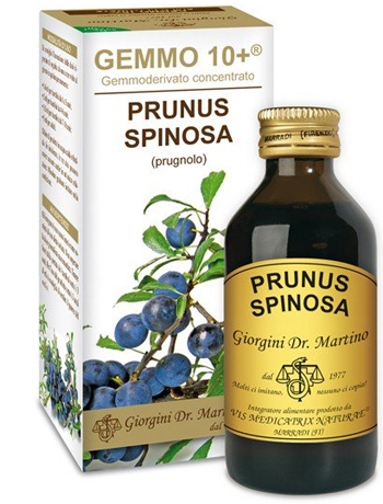 PRUGNOLO 100 ML ANALCOLICO GEMMO 10+