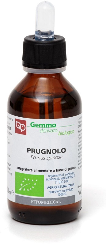 PRUGNOLO Macerato Glicerico 100ML BIO